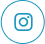 insicon
